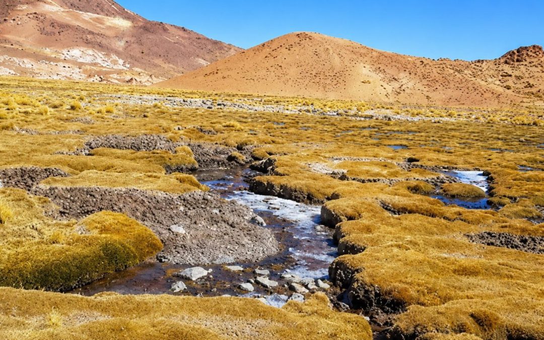 Primer Tribunal Ambiental revisará legalidad de cambio de calificación ambiental de proyecto de exploración minera en San Pedro de Atacama