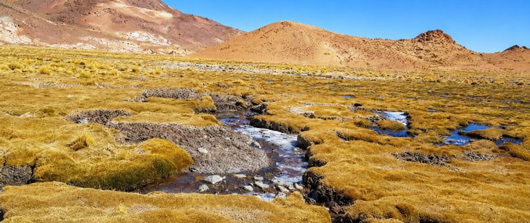 Primer Tribunal Ambiental revisará legalidad de cambio de calificación ambiental de proyecto de exploración minera en San Pedro de Atacama