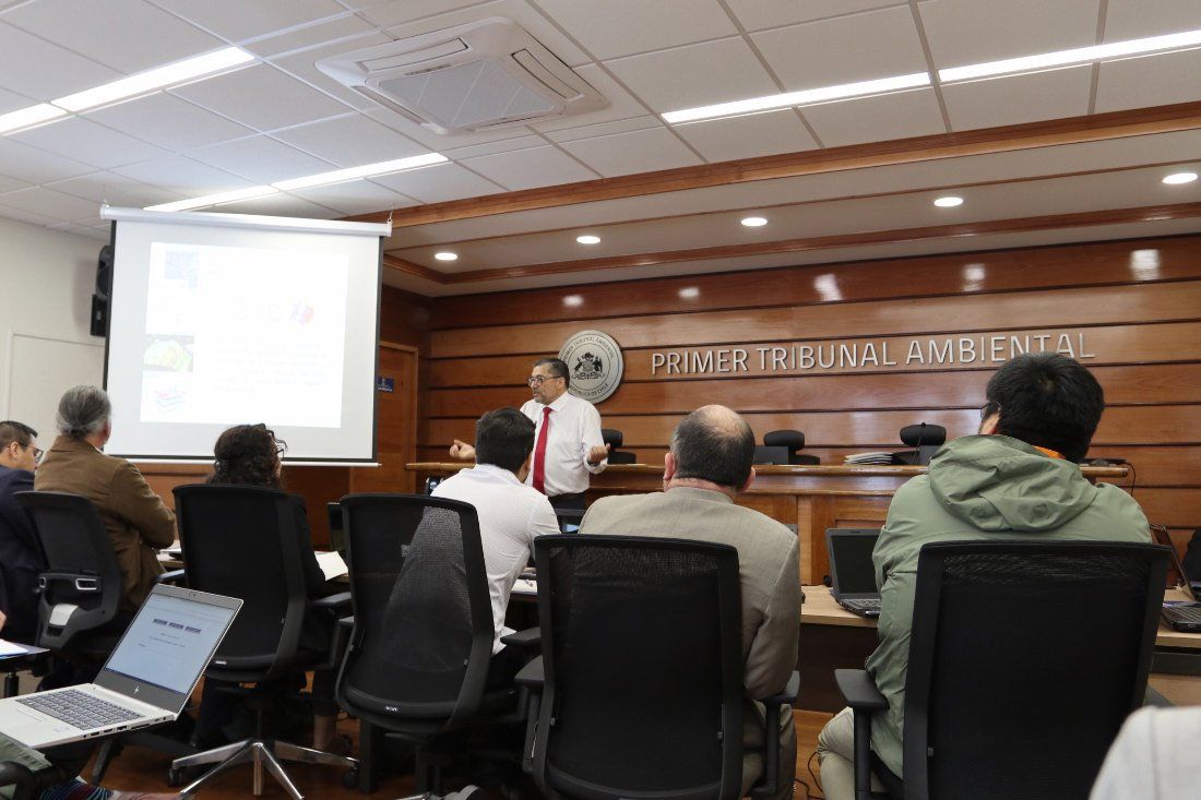 1TA Capacita a Cores y profesionales en Geomática para trabajar por la Justicia Ambiental