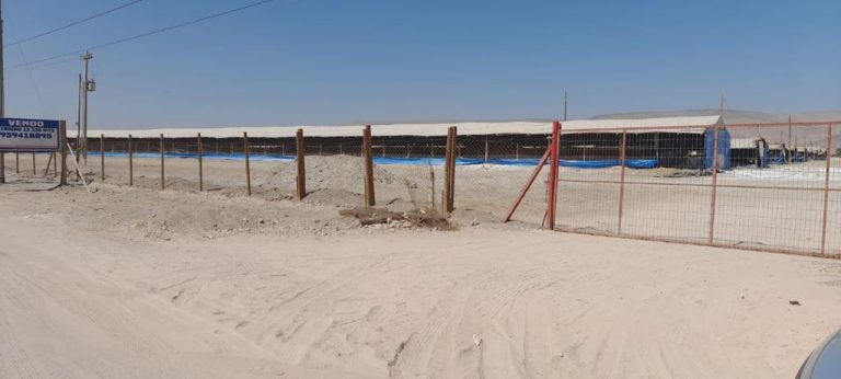 Agrícola Tarapacá reclama ante el Primer Tribunal Ambiental rechazo de su programa de cumplimiento