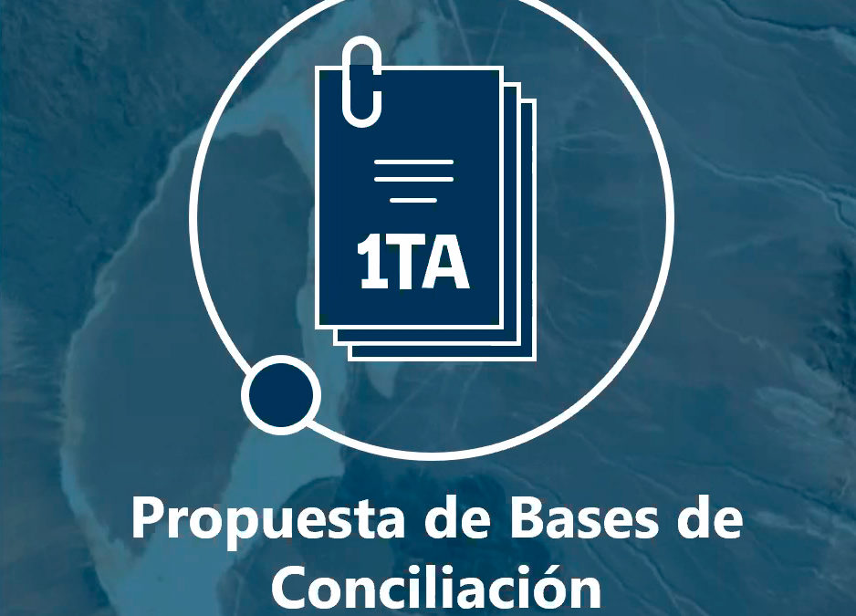 Tribunal presenta bases de conciliación en causa de demanda por daño ambiental del Consejo de Defensa del Estado contra Minera Escondida