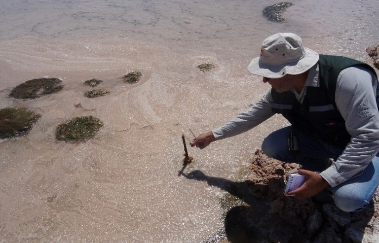 Se admite a trámite la reclamación de Albemarle contra la SMA luego de ser sancionada con multa cercana a los cuatro mil millones de pesos