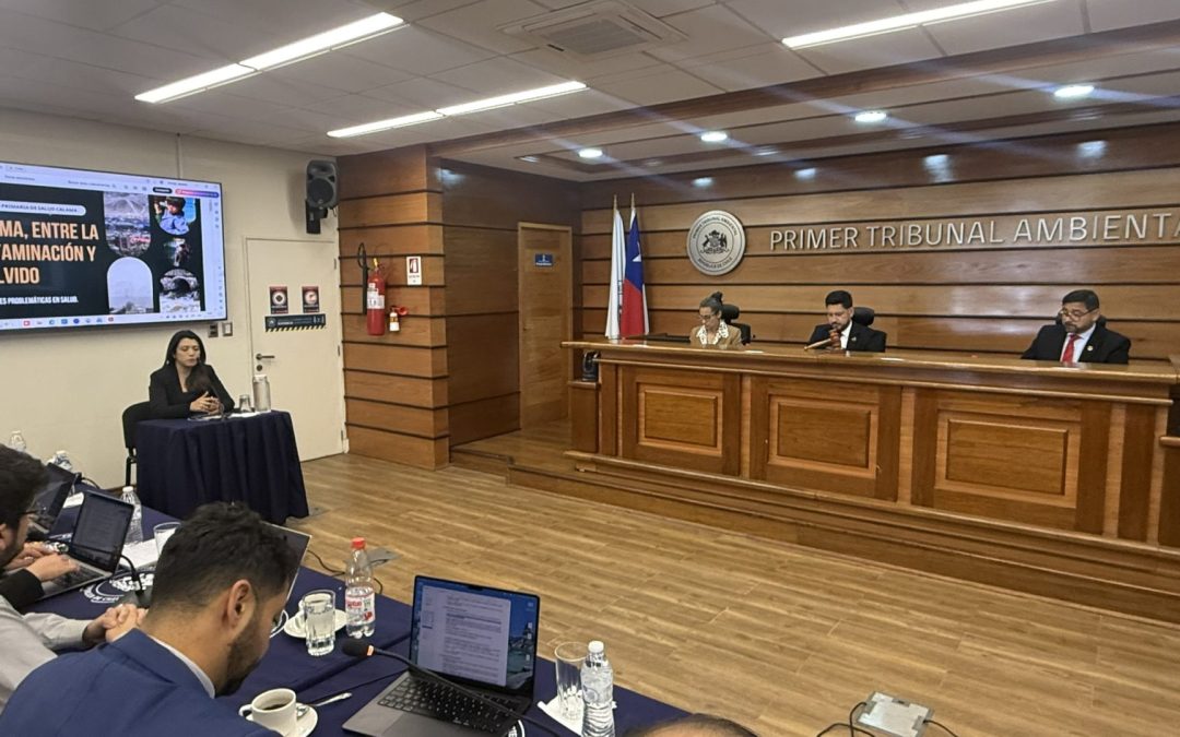 18 testigos prestaron declaración en audiencia por demanda de daño ambiental presentada por 22 organizaciones sociales de Calama en contra del Estado de Chile
