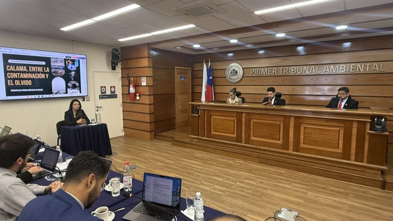 18 testigos prestaron declaración en audiencia por demanda de daño ambiental presentada por 22 organizaciones sociales de Calama en contra del Estado de Chile
