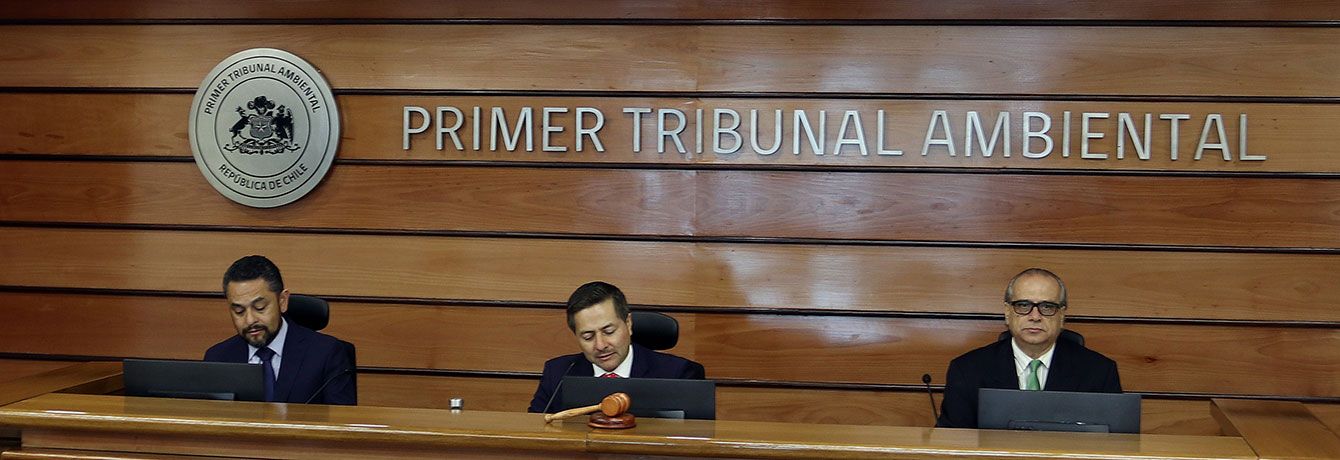 Audiencia R-17-2019 Comunidad Indígena Atacameña de Peine con SMA