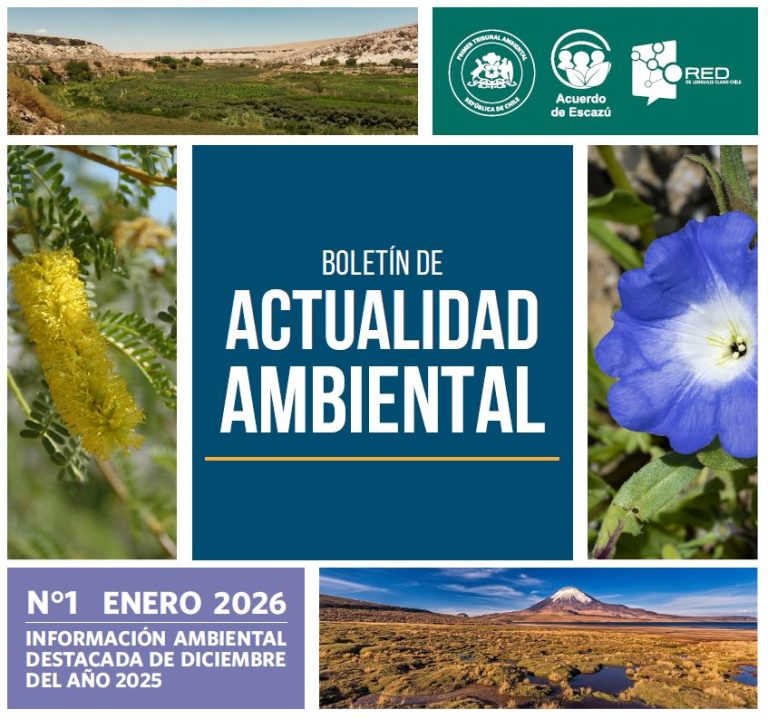 Primer Tribunal Ambiental lanza su Boletín de Actualidad Ambiental