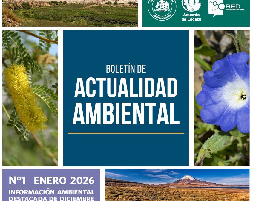Primer Tribunal Ambiental lanza su Boletín de Actualidad Ambiental