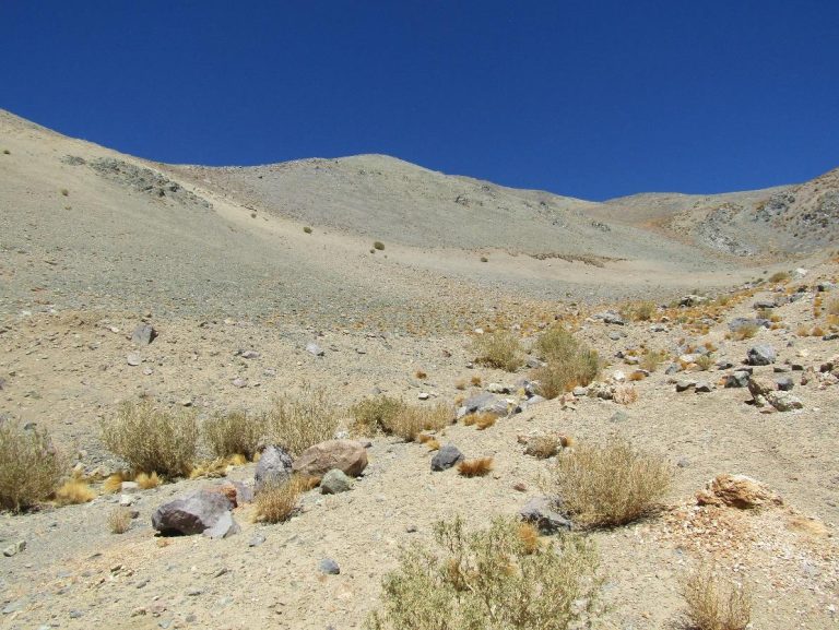 Se acogen a trámite tres reclamaciones contra el SEA tras aprobación de proyecto “Prospección Minera Campanario” de la empresa Barrick