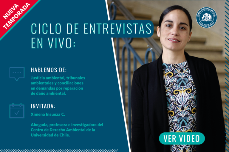 Ciclo de Entrevistas: Ximena Insunza C.