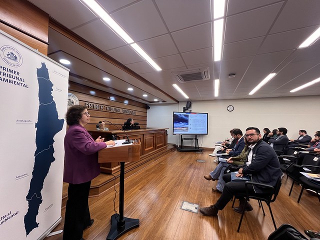 Segundo coloquio del Primer Tribunal Ambiental abordará  Los “Delitos Ambientales: estado del arte y proyección”