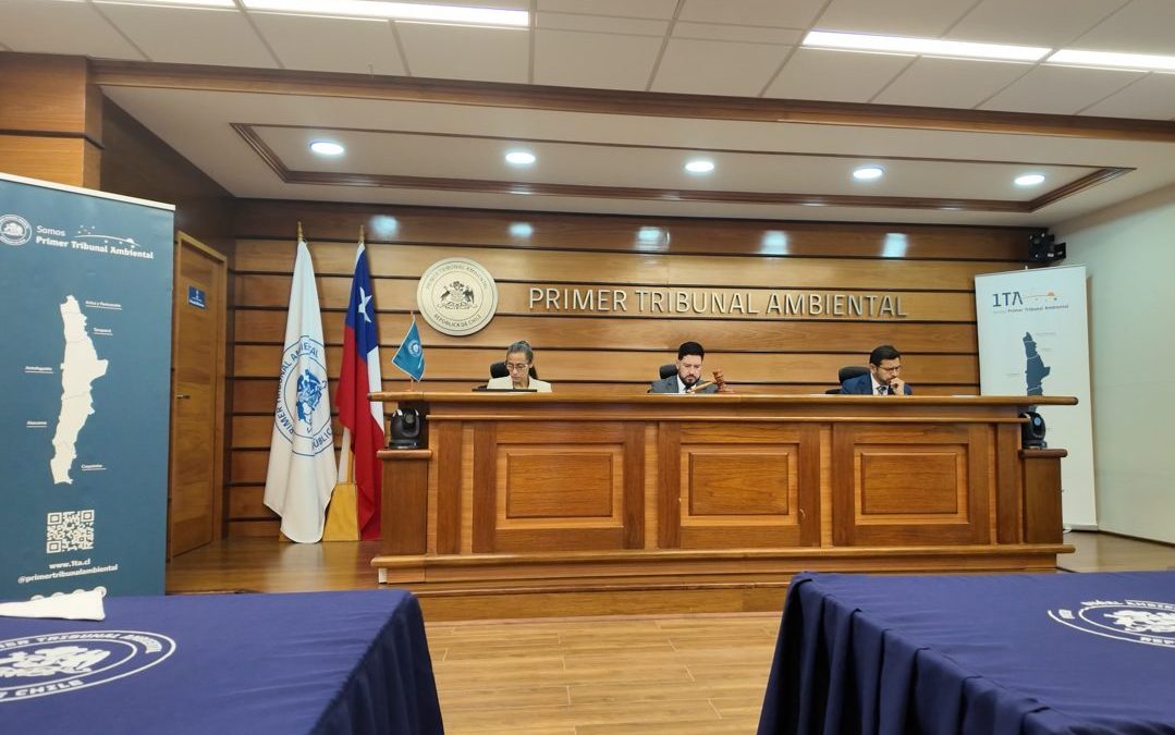 Tribunal escucha alegatos en reclamación en contra de evaluación ambiental favorable de proyecto minero Playa Verde en Chañaral