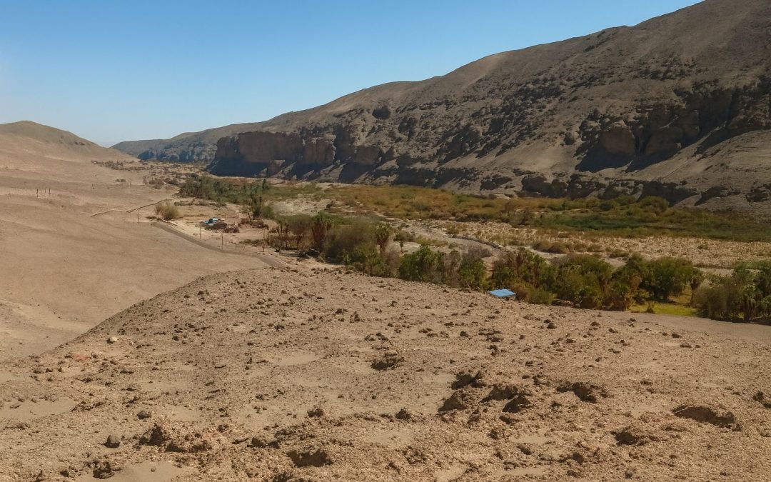 Se admite a trámite demanda de Comunidad Indígena Aymara de Casa Blanca por daño ambiental a patrimonio arqueológico en Huara