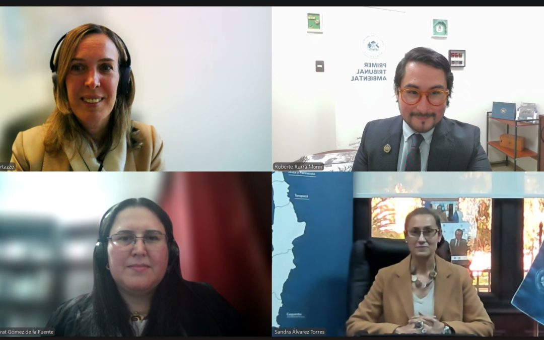 Con exposición sobre Justicia Ambiental Comparada concluyó IV Ciclo de Coloquios del Primer Tribunal Ambiental