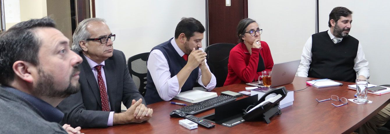 Comité Científico se reúne con investigadora experta en Salud Pública y Epidemiología Ambiental