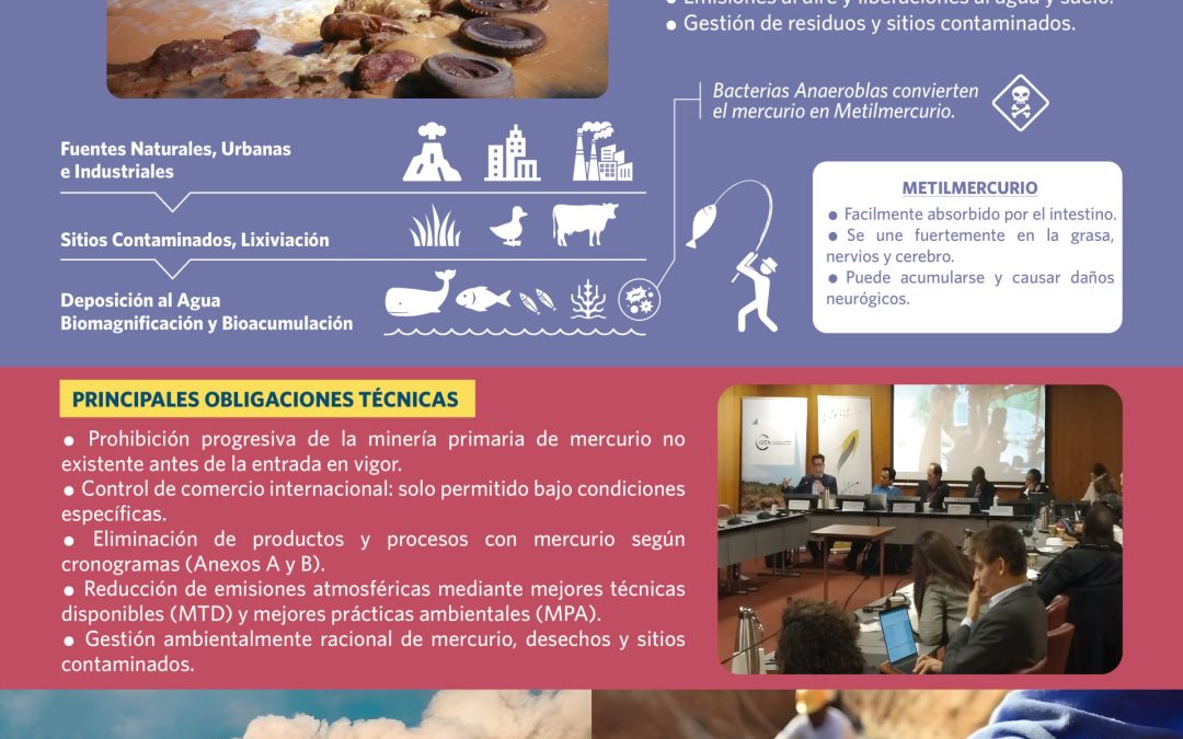 Te invitamos a conocer detalles del Convenio de Minamata