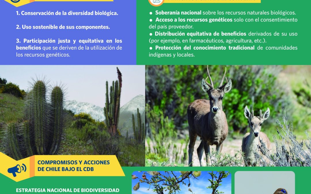 Te invitamos a conocer detalles del Convenio sobre la Diversidad Biológica