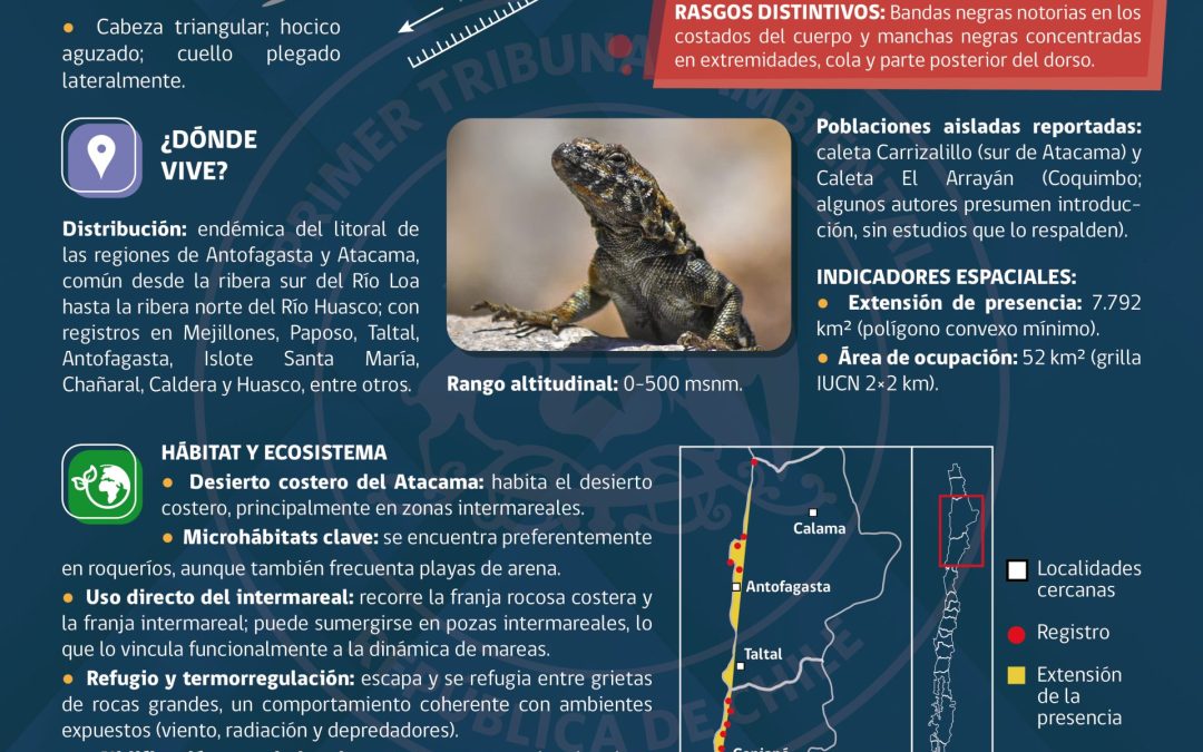 Te invitamos a conocer al Corredor de Atacama