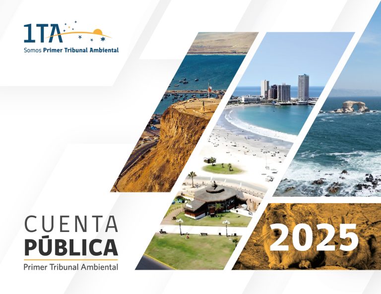 Con un alza en el número de sentencias dictadas, menor tiempo de tramitación y alta confirmación en tribunales superiores, el Primer Tribunal Ambiental publicó su Cuenta Pública 2025