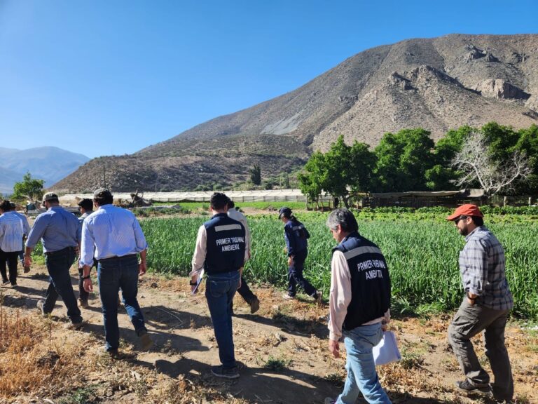 Ministros del Primer Tribunal Ambiental recorren 22 puntos de minera Los Pelambres y de Cuncumén para determinar eventual daño al medioambiente