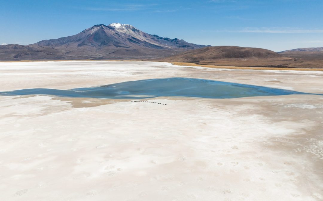 Se realizó revisión de medidas cautelares que mantienen suspendidas faenas de Quiborax en Arica