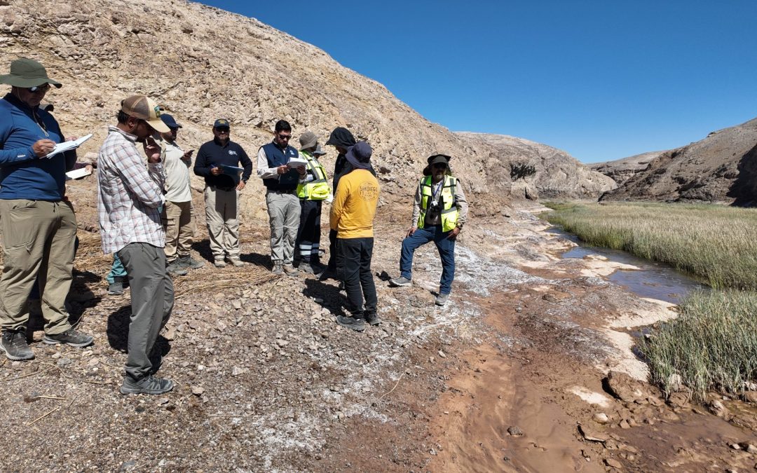 Primer Tribunal Ambiental realiza inspección personal en humedal urbano del Río Loa por reclamaciones de propietario y de SQM