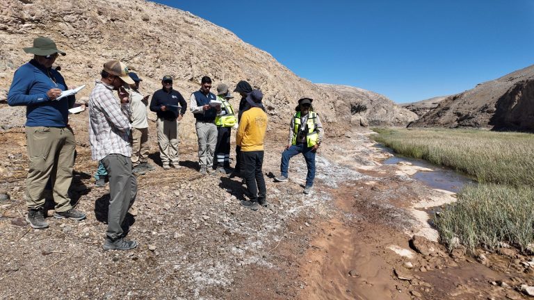 Primer Tribunal Ambiental realiza inspección personal en humedal urbano del Río Loa por reclamaciones de propietario y de SQM