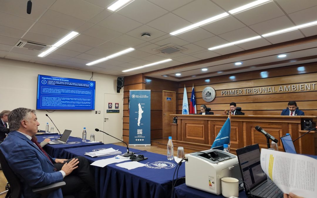 En dos audiencias se revisaron reclamaciones de comunidades indígenas en contra de la calificación ambiental favorable continuidad operacional del proyecto Mina Candelaria en la Región de Atacama