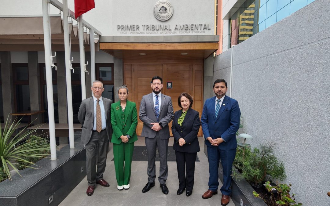 Primer Tribunal Ambiental rinde Cuenta Pública 2025 destacando aumento histórico en sentencias y reducción de tiempos de tramitación