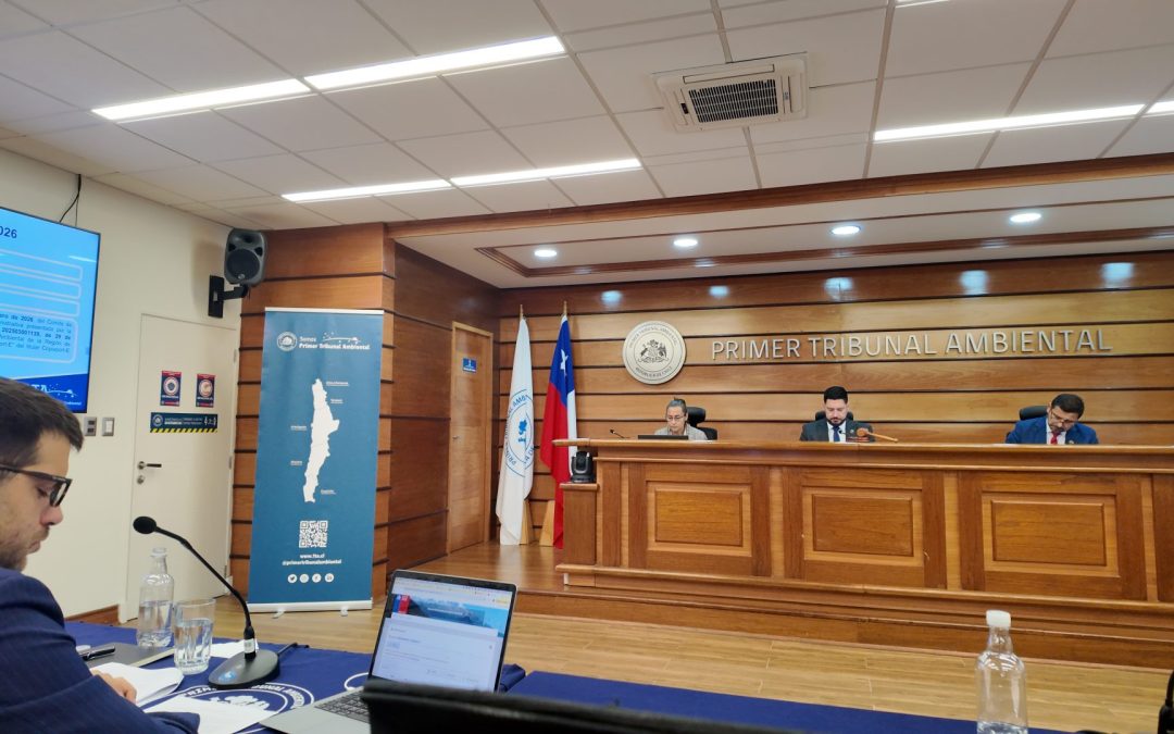 En audiencia se revisó medida cautelar que mantiene detenida la revisión de la RCA de la Central Termoeléctrica Mejillones Unidad 2