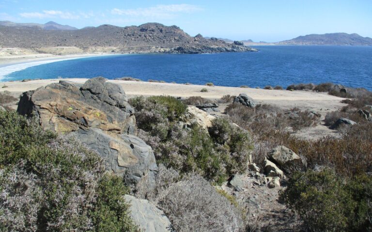  Pescadores, buzos y mariscadores de La Higuera reclaman por la declaración del Santuario de la Naturaleza Cruz Grande