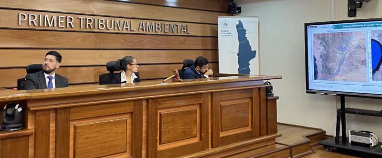 Primer Tribunal Ambiental escuchó los alegatos en reclamación contra autorización dada a “Proyecto Comahue”, cercano a la Chimba