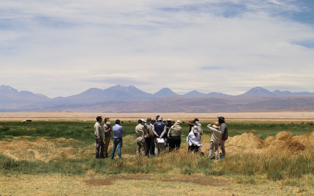 Primer Tribunal Ambiental inspecciona  sector de Las Vegas de Tilopozo por reclamación de Minera Escondida