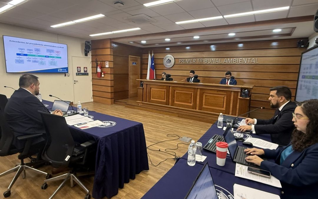 Servicio de Evaluación Ambiental presentó antecedentes tras reclamación de comunidad indígena por aprobación de proyecto fotovoltaico en la Región de Atacama