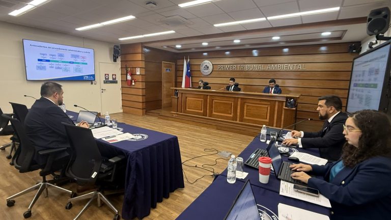 Servicio de Evaluación Ambiental presentó antecedentes tras reclamación de comunidad indígena por aprobación de proyecto fotovoltaico en la Región de Atacama