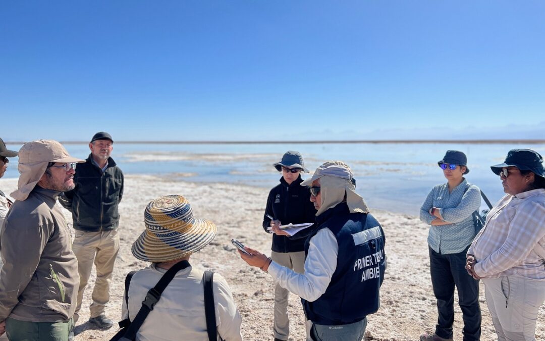 Primer Tribunal Ambiental inspecciona sector de Negrillar y Tilopozo para determinar eventual daño al medioambiente