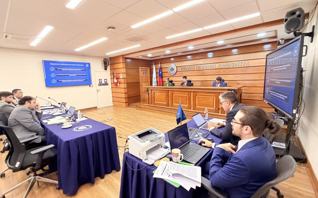 Tribunal revisó en audiencia dos reclamaciones en contra de declaratoria del Río Loa como humedal urbano