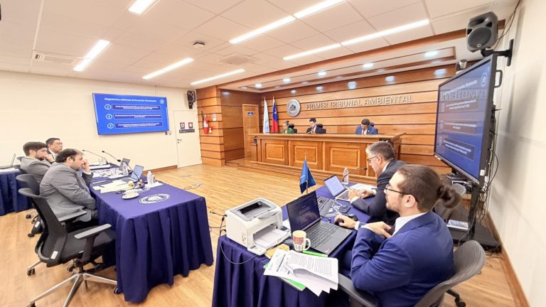 Tribunal revisó en audiencia dos reclamaciones en contra de declaratoria del Río Loa como humedal urbano