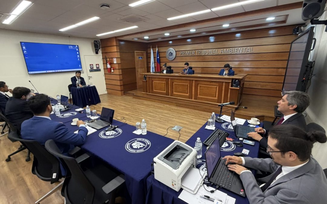 En audiencia declaró último testigo y se realizaron alegatos finales en demanda de daño ambiental de organizaciones sociales en contra del Estado de Chile por contaminación en Calama