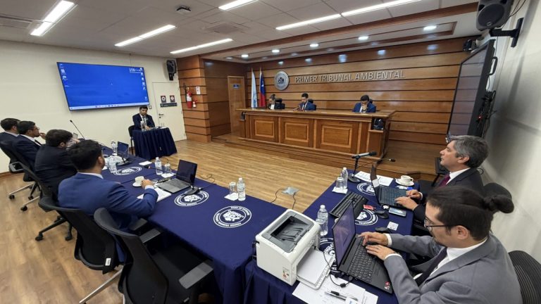 En audiencia declaró último testigo y se realizaron alegatos finales en demanda de daño ambiental de organizaciones sociales en contra del Estado de Chile por contaminación en Calama