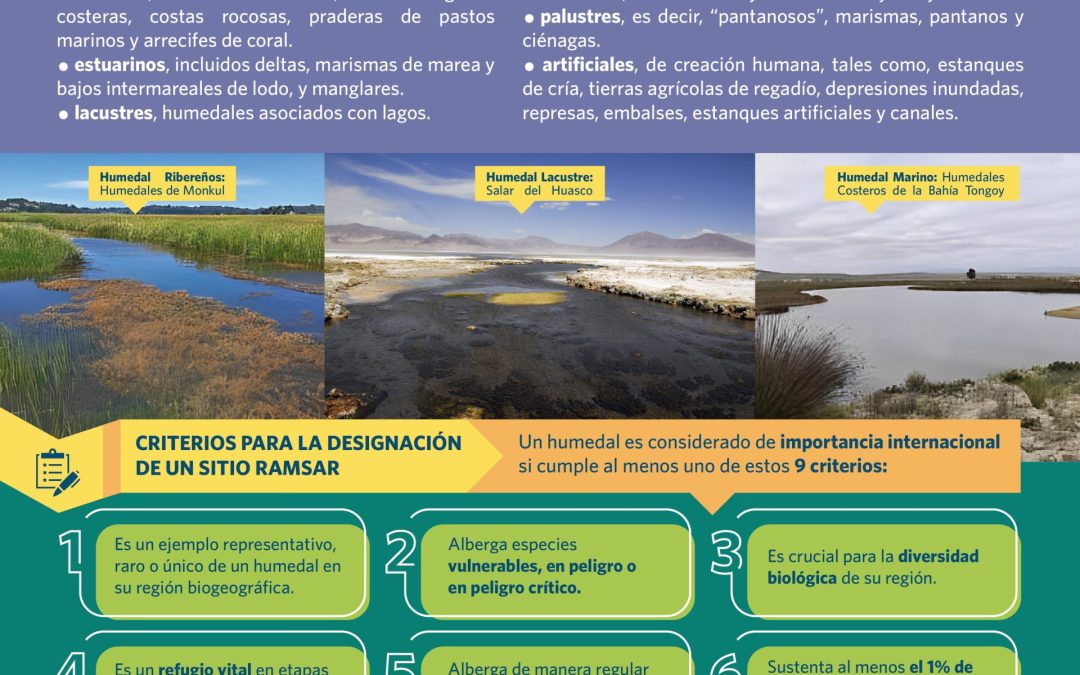 Te invitamos a conocer detalles de la Convención de RAMSAR