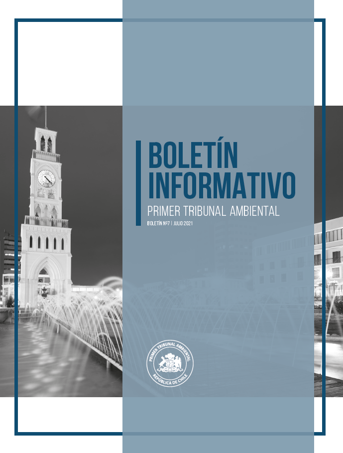 Boletín N°07 julio 2021