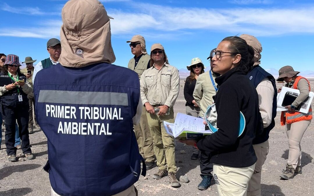 Primer Tribunal Ambiental inspecciona estado de algarrobos en el marco de la reclamación del Consejo de Pueblos Atacameños por incumplimientos ambientales de SQM