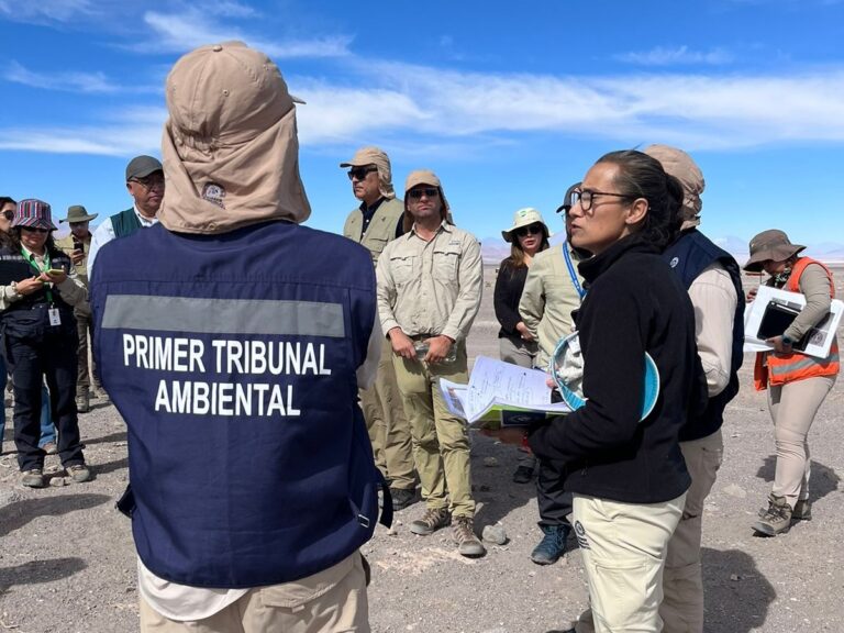Primer Tribunal Ambiental inspecciona estado de algarrobos en el marco de la reclamación del Consejo de Pueblos Atacameños por incumplimientos ambientales de SQM