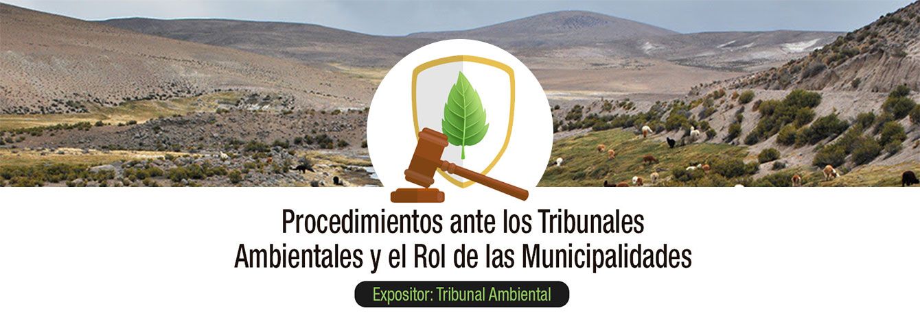 Municipios de Región de Arica-Parinacota serán capacitados por el Primer Tribunal Ambiental