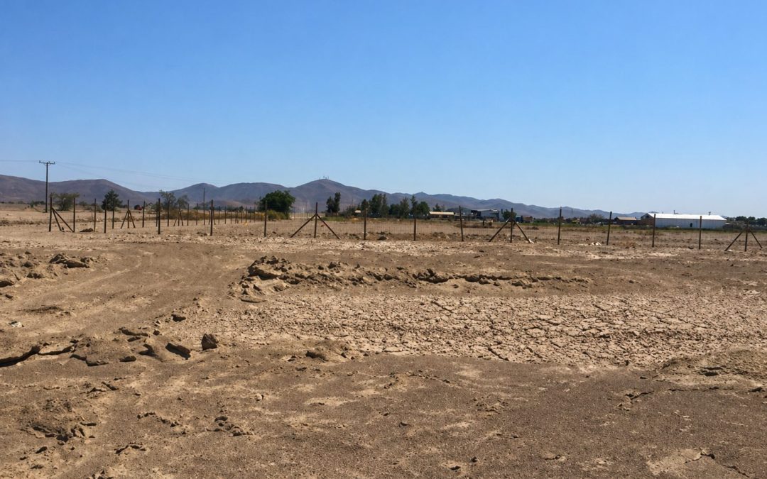 Se acoge reclamación de empresa eléctrica y se deja sin efecto término anticipado de la evaluación del proyecto Parque Fotovoltaico Oxum del Tamarugal