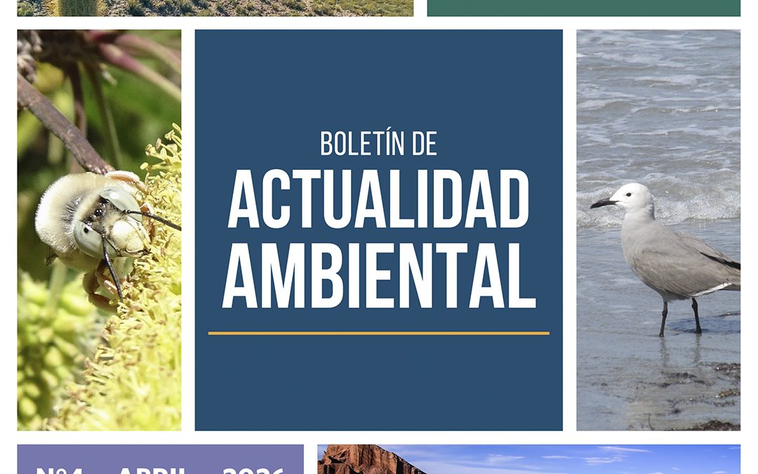 Primer Tribunal Ambiental publica nuevo número de su Boletín de Actualidad Ambiental