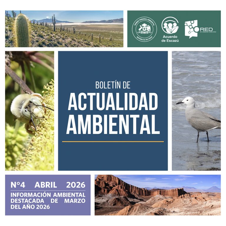 Primer Tribunal Ambiental publica nuevo número de su Boletín de Actualidad Ambiental