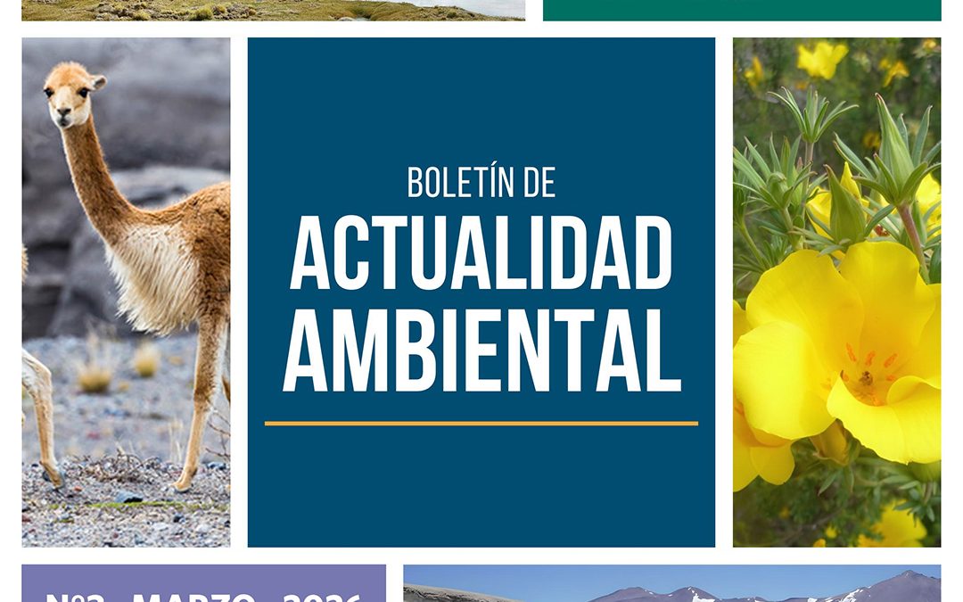 Primer Tribunal Ambiental publica nuevo número de su Boletín de Actualidad Ambiental