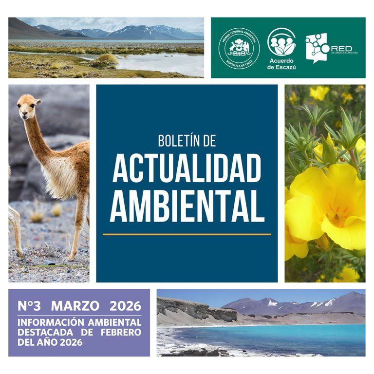 Primer Tribunal Ambiental publica nuevo número de su Boletín de Actualidad Ambiental