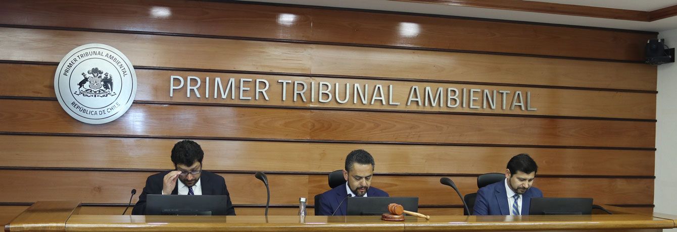 Primer Tribunal Ambiental escuchó alegatos de reclamación contra Programa de Cumplimiento de Minera Collahuasi